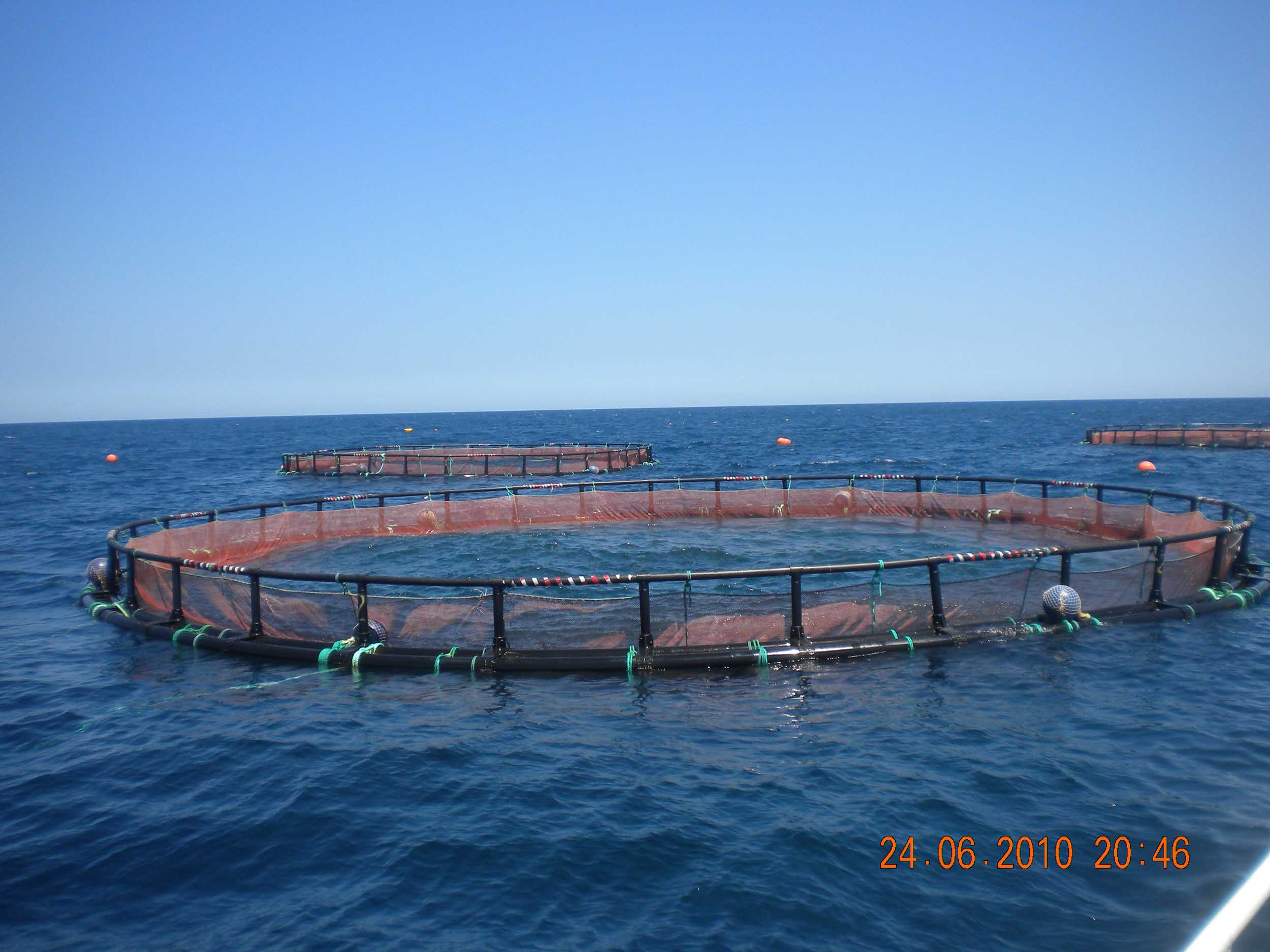 Fishing Float for Aquaculture Supplier, China Fishing Net Float